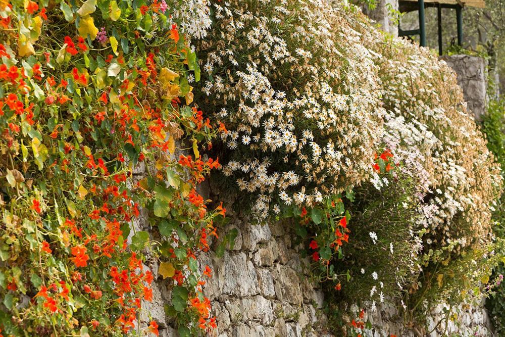 Mas Thomasine Sejour Romantique Au Calme Peillon Ngoại thất bức ảnh